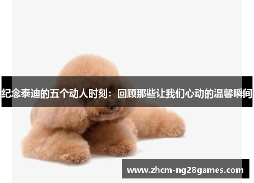 纪念泰迪的五个动人时刻：回顾那些让我们心动的温馨瞬间