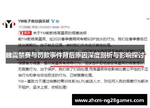 魏震禁赛与罚款事件背后原因深度剖析与影响探讨 魏震禁赛与罚款事件背后原因深度剖析与影响探讨