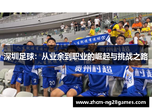 深圳足球：从业余到职业的崛起与挑战之路